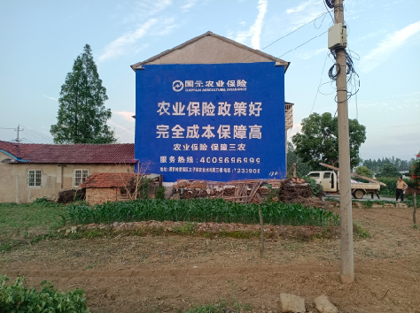 广安墙体广告的优劣势你知道吗?